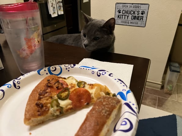 Pizza thief